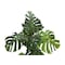 Monarch Specialties Artificial Plant, 55" Tall, Monstera Tree, Indoor, Faux, Fake, Floor, Greenery, Potted, Real Touch I 9548 - alternate 2